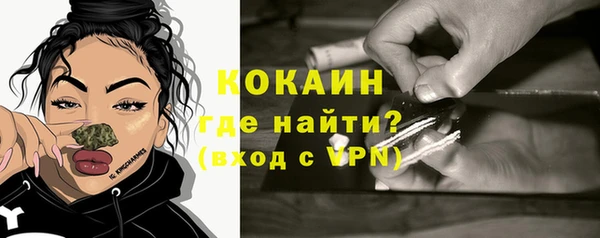 шишки Богородск