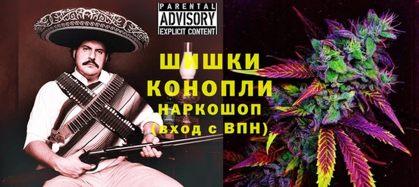 шишки Богородск