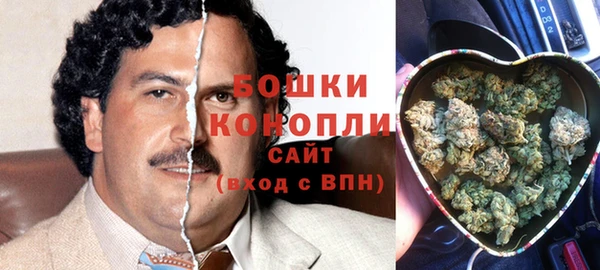шишки Богородск