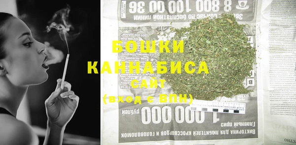 шишки Богородск