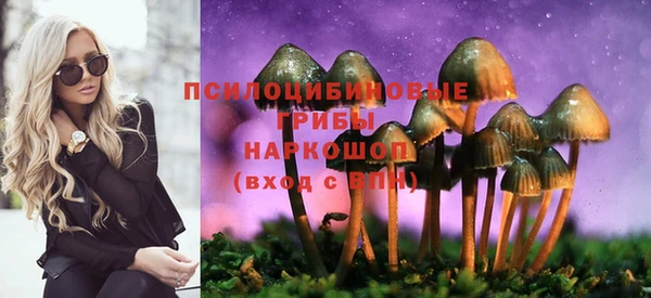 дурь Белокуриха
