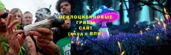 гашик Богданович