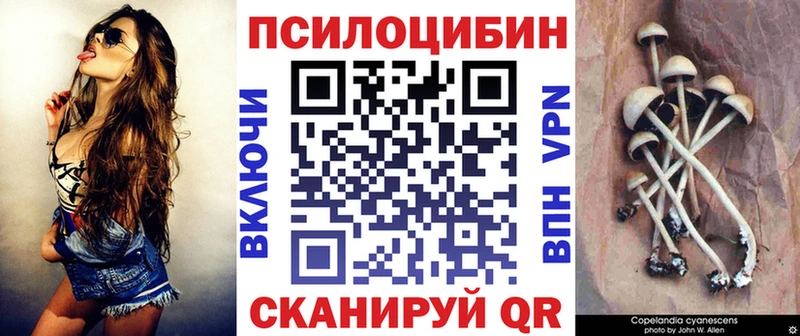Галлюциногенные грибы GOLDEN TEACHER  дарнет шоп  Казань 